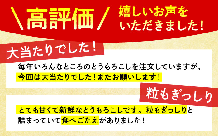 【先行予約】＜2024年6月中旬以降発送>スイートコーン ゴールドラッシュ 8本?10本【八丁屋】とうもろこし [HAO001]
