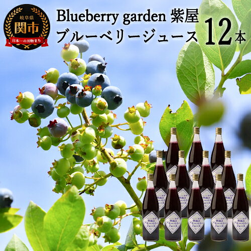 【ふるさと納税】農薬不使用の自然農園 紫屋の【ブルーベリージュース】 12本 （720ml） S42-01 無農薬、ブルーベリー、地元人気店、飲料、ジュース、飲み物、果汁、すっきり、