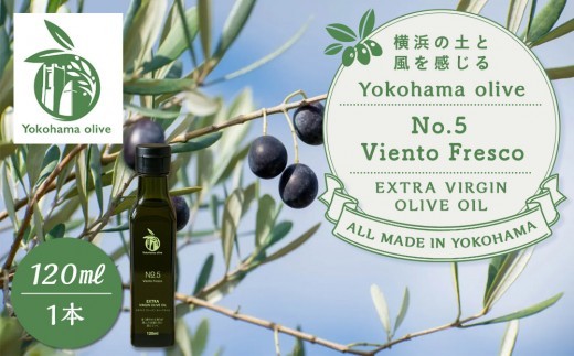 
            横浜オリーブ　No.５ビエントフレスコ　エクストラバージンオリーブオイル120ml
          