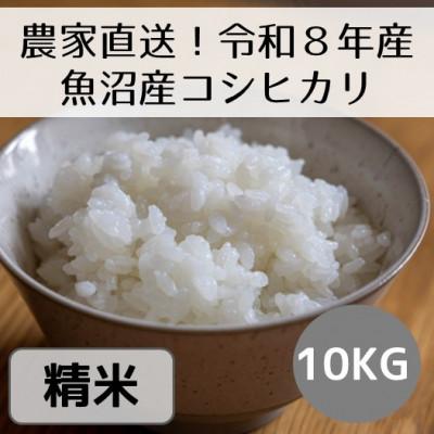 ふるさと納税 十日町市 【先行予約・令和8年産】新潟県魚沼産コシヒカリ「山清水米」精米10kg