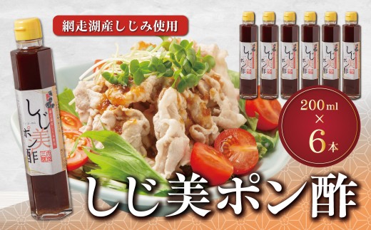 しじ美ポン酢6本セット 【ふるさと納税 人気 おすすめ ランキング しじ美 ぽん酢 調味料セット しじみ 濃縮 健康 常温 SDGs ギフト 料理 北海道産 特産品 お取り寄せ 贈答 贈り物 北海道 大空町 送料無料】 OSH011