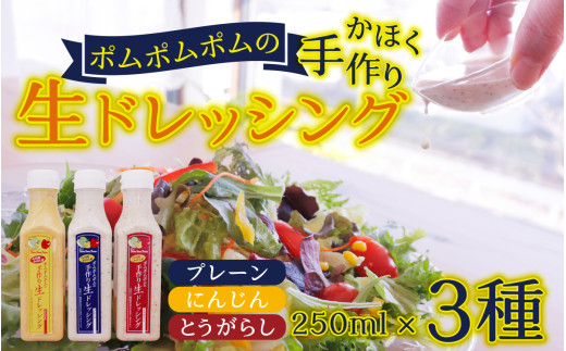 かほく生ドレッシング詰め合わせ 3本（玉ねぎ、唐辛子、人参） 【配送不可地域：北海道・沖縄県・離島】 手作り ドレッシング イタリアン ポムポムポム 石川県 かほく市 能登 入口 調味料 たれ 欧風料理 ギフト 贈り物