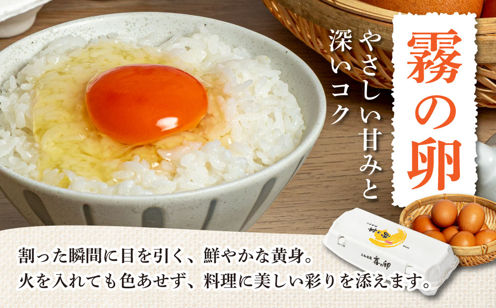 【6回定期便】京都丹波・亀岡発 旬の野菜・こしひかり 詰め合わせセット (隔月6回お届け)● ※北海道・沖縄・離島への配送不可