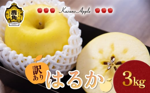 《 先行予約 》訳あり 鹿角りんご「はるか」3kg（7～10玉前後）【佐藤秀果園】●2025年12月上旬発送開始 リンゴ 林檎 家庭用 訳あり みずみずしい 果汁 完熟 旬 県産りんご お中元 お歳暮 贈り物 お見舞い グルメ ギフト 故郷 秋田 あきた 鹿角市 鹿角 送料無料 