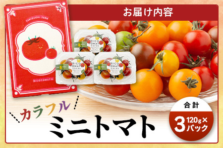 【先行受付】2027年1月より順次発送予定 【少量パック】カラフルミニトマト6種 360g（120g×3）トマト プチトマト 野菜 農家直送 ギフト 人気　たにぐちファーム Ricotomato（リコ