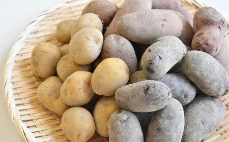 【2027年6月頃より順次発送】和らぎ農法 春じゃが便 2.5kg （栽培期間中、農薬・化学肥料・動物性堆肥不使用）/ じゃがいも 食べ比べ 詰め合わせ セット 新鮮 野菜 / 滋賀県 栗東市 / ワ