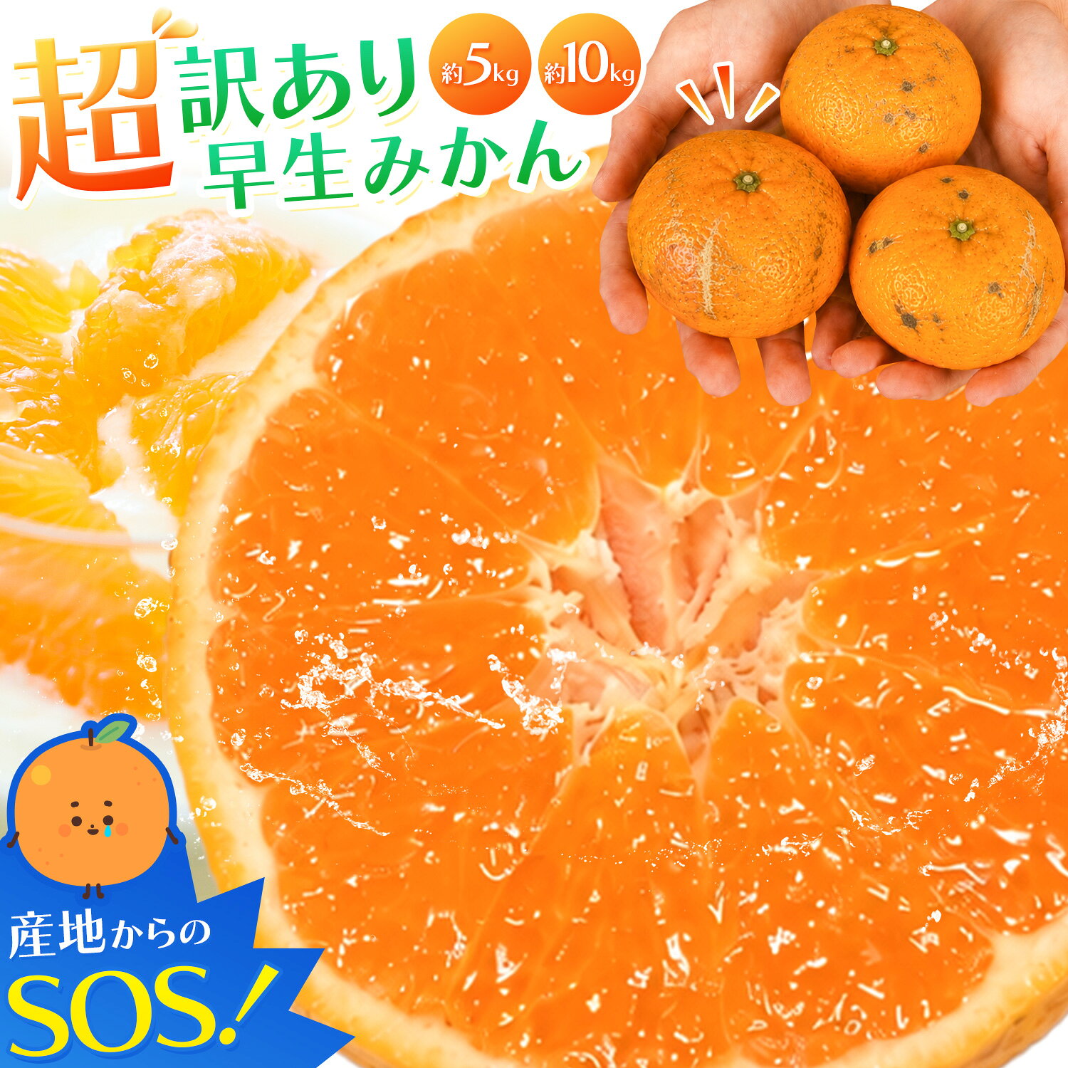 【ふるさと納税】みかん 超訳あり早生みかん 約5kg 約10kg どの坂果樹園 《12月上旬-2月上旬頃出荷》 和歌山県 日高川町 みかん ミカン 早生みかん 蜜柑 柑橘 訳あり 果物 くだもの フルーツ 青果物