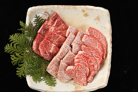 飛騨牛希少部位焼肉セット 計450g（トモサンカク 150g・ミスジ 150g・イチボ 150g）最高級 国産 牛肉 ブランド牛 和牛 【22-28】【冷凍】