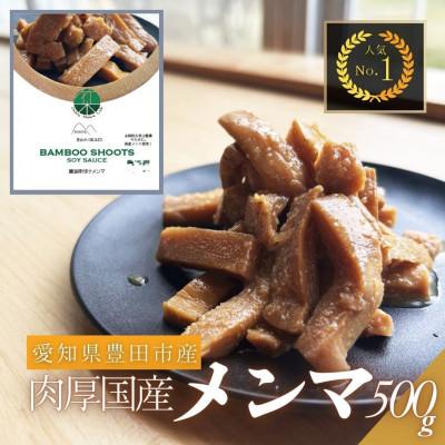 ふるさと納税 豊田市 愛知県豊田市　定番の醤油味付けメンマ　100g×5パック