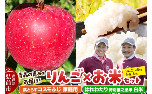 【26年11月中旬発送】りんご×お米セット はれわたり 特別權之丞米【白米】5kg ＆葉とらず コスモふじ【家庭用】約2kg 先行受付 青森県産 權之丞 [先行予約 お米 東北 精米 青森 青森県産 白米 米 ブランド米 青森 りんご リンゴ 林檎]