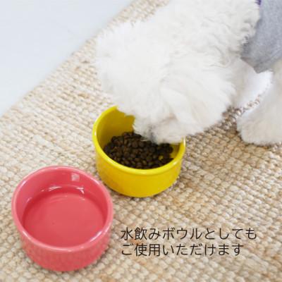 ふるさと納税 瑞浪市 美濃焼　陶器製ペット用フードボウル【Bamboo プレーンフードボウル/ブルーpet140】 |  | 01