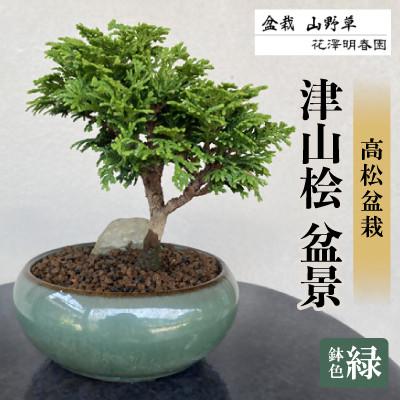 ふるさと納税 香川県 津山桧　盆景　〈緑鉢〉