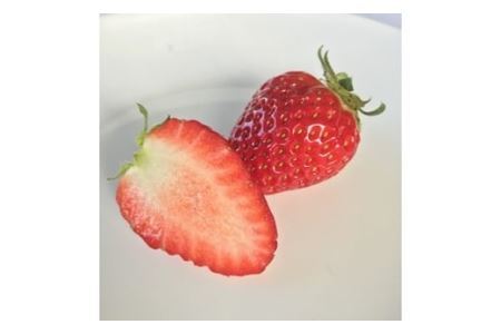 特選 大粒いちご 「まりひめ」１箱(B236-1)