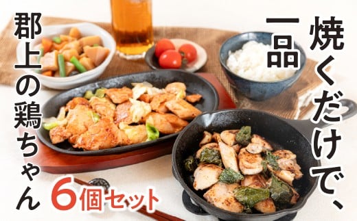 【年内発送】郡上鶏ちゃん6個セット 味付け肉 もも 胸 皮 肝 醤油 塩麹 食品 精肉 肉加工品 鶏肉 セット 詰め合わせ 15000円 年内配送 年内お届け