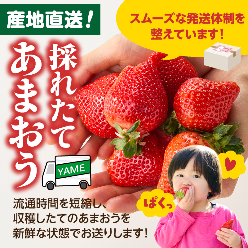 【先行受付：2026年2月発送開始】博多あまおうＧ270g×10パック｜ＪＡふくおか八女 あまおう いちご 苺 イチゴ フルーツ 果物 くだもの 人気  旬 福岡県産 大粒 アフター補償 数量限定 期