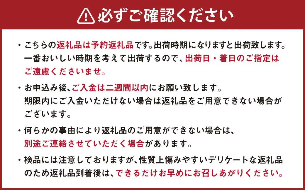 アスパラ 約800g M～2L 【2026年4月下旬～6月下旬迄発送予定】