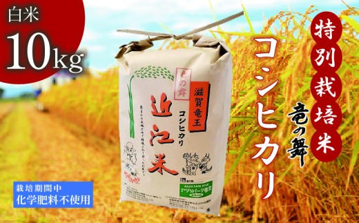 こしひかり 白米 10kg  2025年産 竜の舞  特別栽培米 国産 安心 安全 近江米 米 お米 白米 お弁当 玄米 産地直送 滋賀県 竜王町 送料無料