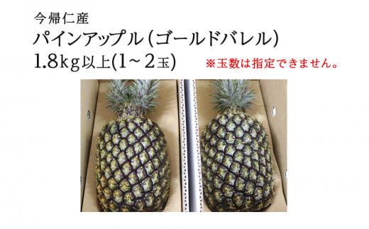 【先行予約】【2025年6～8月頃配送】今帰仁産パインアップ