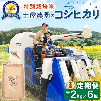 ふるさと納税 佐渡市 【毎月定期便】佐渡島産コシヒカリ 玄米2kg 土屋農園 農家直送 特別栽培米　全6回