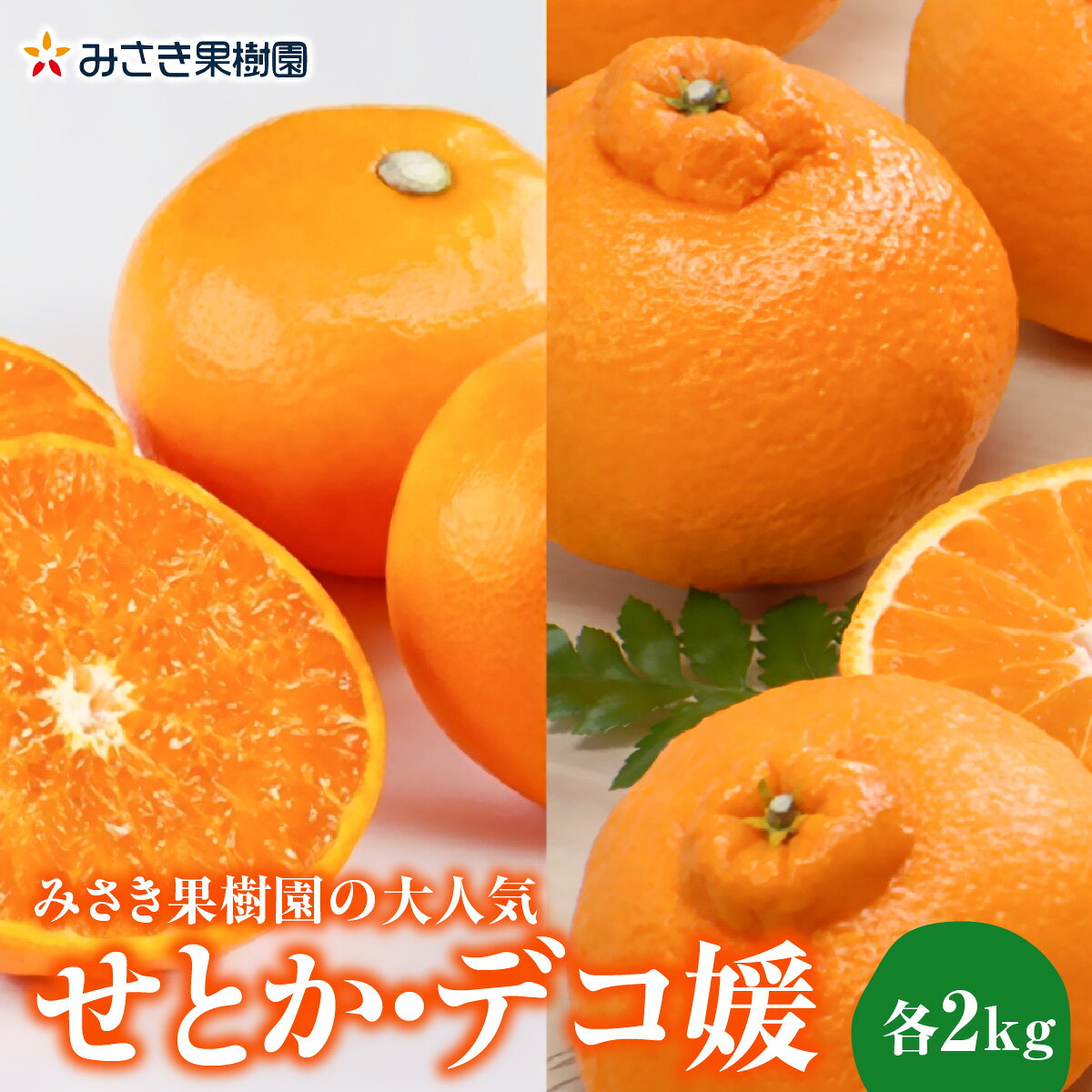 【ふるさと納税】【先行受付】みさき果樹園の大人気せとか・デコ媛各2kg【C21-60】_【1705372】YWTBC041