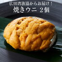 【ふるさと納税】無添加 焼きウニ 80g × 2個 セット 広田湾漁協からお届け 【 うに ウニ 雲丹 ミョウバン不使用 無添加 濃厚 天然 海産物 海の幸 冷凍 人気 旬 ギフト 贈り物 贈答品 年末年始 おせち おすすめ お取り寄せ リピート うに丼 三陸産 岩手県 陸前高田市 】