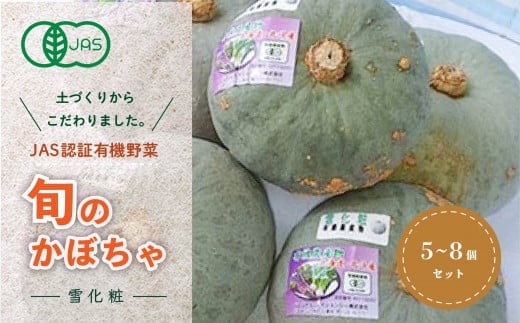 
            【JAS認定有機野菜】旬の南瓜5～8個セット ふるさと納税 人気 おすすめ ランキング 旬 野菜セット かぼちゃ 南瓜 カボチャ 紫からし菜 からし菜 わさび菜 玉レタス サニーレタス ルッコラ レッドオーク レッドロメイン グリーンオーク グリーンロメイン キャベツ ジャガイモ じゃがいも 新鮮 鮮度抜群 野菜 ベジタブル おいしい 健康 北海道 北斗市 送料無料 HOKB014
          