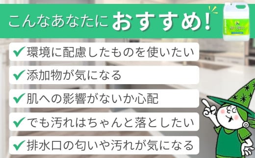 ＜毎月定期便(全12回)＞環境配慮型洗剤緑の魔女キッチン5L×1本 | 茨城県 龍ケ崎市 洗剤 環境 エコ やさしい 手肌 優しい 弱酸性 パイプクリーナー 詰まり 臭い キッチン 台所洗剤 植物由来