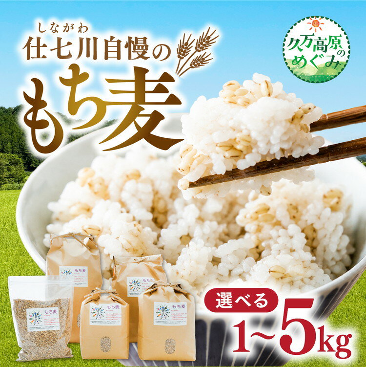【ふるさと納税】 ＼選べる容量／ 【先行予約】久万高原町 仕七川自慢 もち麦 1kg～5kg ｜ 雑穀 健康志向 腸活 食物繊維 ダイエット お取り寄せ 自然 愛媛県 仕七川地区の清流 ※2026年7月～発送