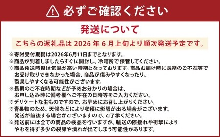 熊本県産 小玉すいか 1玉（1.5kg以上）と 肥後グリーンメロン 1玉（1.6kg以上）  果物 くだもの フルーツ スイカ メロン 【2026年6月上旬発送開始】