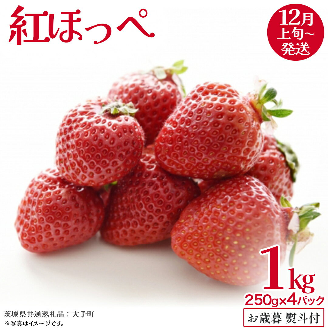 【ふるさと納税】【 お歳暮 熨斗付き 】 紅ほっぺ 250g（8～12粒）×4パック【2025年12月上旬発送開始】(茨城県共通返礼品：大子町) いちご 苺 果物 フルーツ 果実 贈答用 ギフト 贈り物