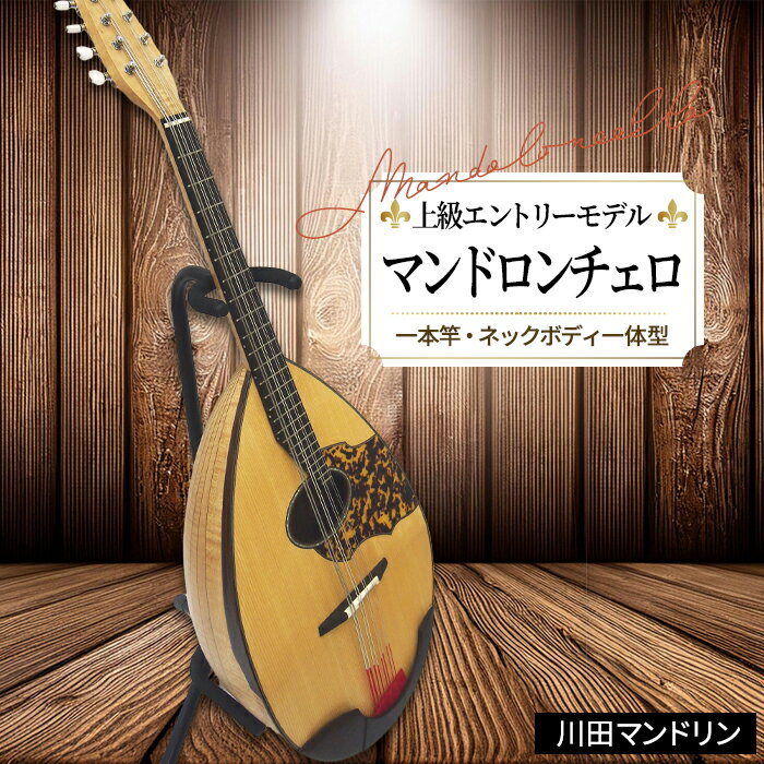 【ふるさと納税】【上級エントリーモデル】マンドロンチェロ [No.294] ／ 楽器 弦楽器 送料無料 岐阜県