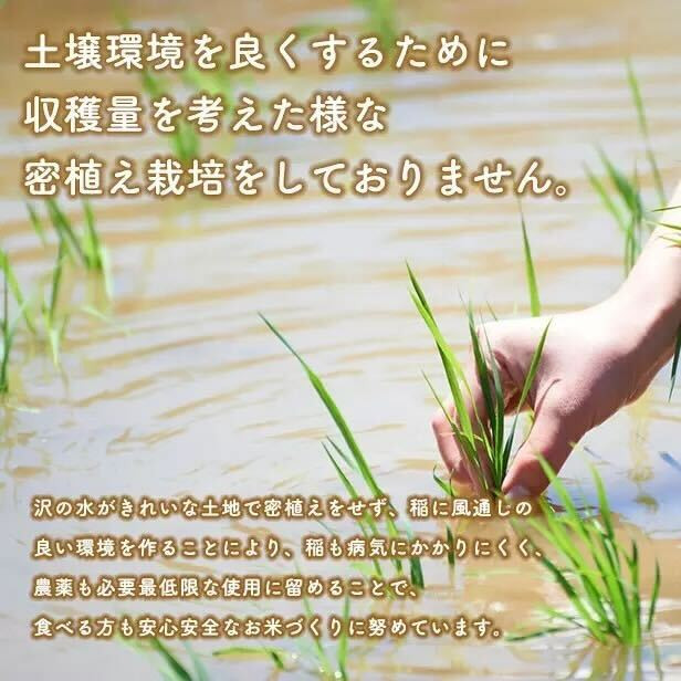 《令和8年新米先行予約》《 定期便 》家計お助け米 あきたこまち 20kg × 12ヶ月 潟上市【こまちライン】
