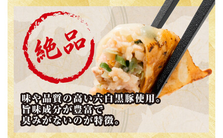 【大阪名物】大阪ふくちぁん黒豚餃子 冷凍生餃子 72個 ［36個入×2セット］