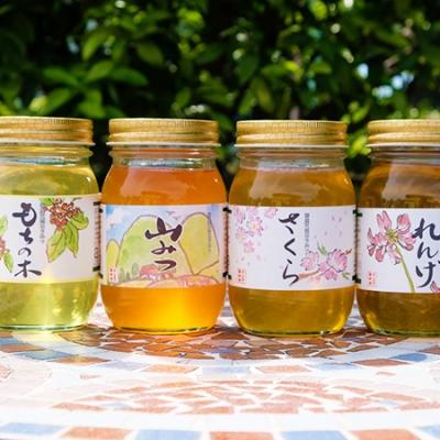 ふるさと納税 小郡市 はちみつ 天然 600g×4本セット れんげ&amp;やまみつ&amp;さくら&amp;もちのき[No5354-0296]