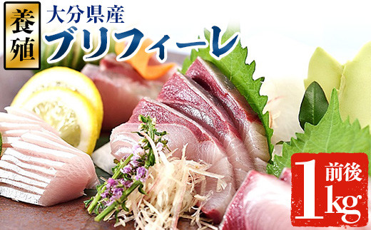 大分県産 養殖ブリ　フィーレ (約1kg前後)　鰤 ブリ フィレ 国産 刺身 さしみ 魚介 海産物 半身 丼 カルパッチョ ブリしゃぶ たたき おつまみ大分県 佐伯市【EW064】【(株)Up】