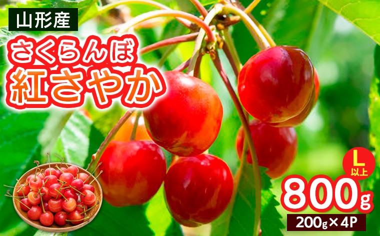
                  さくらんぼ 紅さやか Lサイズ以上 800g(200g×4パック)【令和9年産先行予約】FS25-063
                