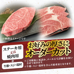 【冷凍】 小形牧場牛 ヒレ ステーキ 1本分 4.5~5kg オーダーカット [ME020]