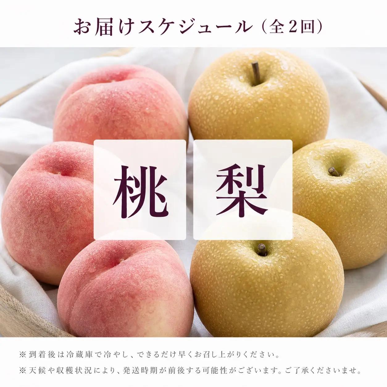 定期便【全2回/8・9月】かつらぎ町のフルーツ定期便（桃・梨） 【tkb426】