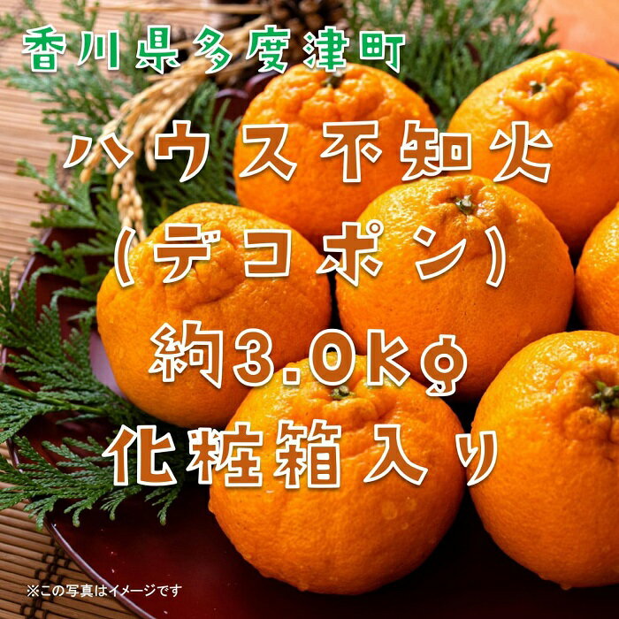 【ふるさと納税】不知火（デコポン）ハウス栽培 約3kg【予約受付中！令和7年12月下旬頃～】〔提供：株式会社ことひら街道〕しあわせ製麺 甘い ギフト 季節限定