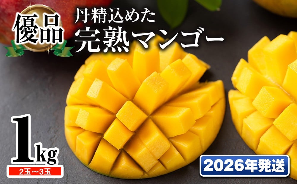 【2026年発送】「優品」丹精込めた完熟マンゴー1kg 2玉~3玉