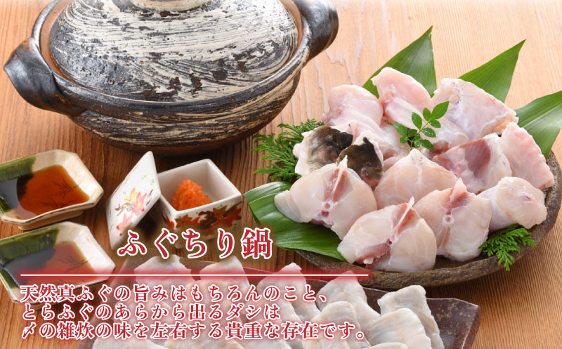 とらふぐ しゃぶしゃぶ 身皮 ふぐ ちり 2~3人前 冷蔵 アラ まふぐ 下関 山口 高級魚 魚介 海鮮 鮮魚 ふぐ鍋 ふぐちり鍋 海鮮鍋 フグ刺し 河豚 贈答 ギフト 贈り物 プレゼント 記念日 中