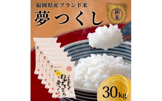 新米！！令和7年産 福岡県産米 夢つくし 合計30kg ( 5kg×6袋 )