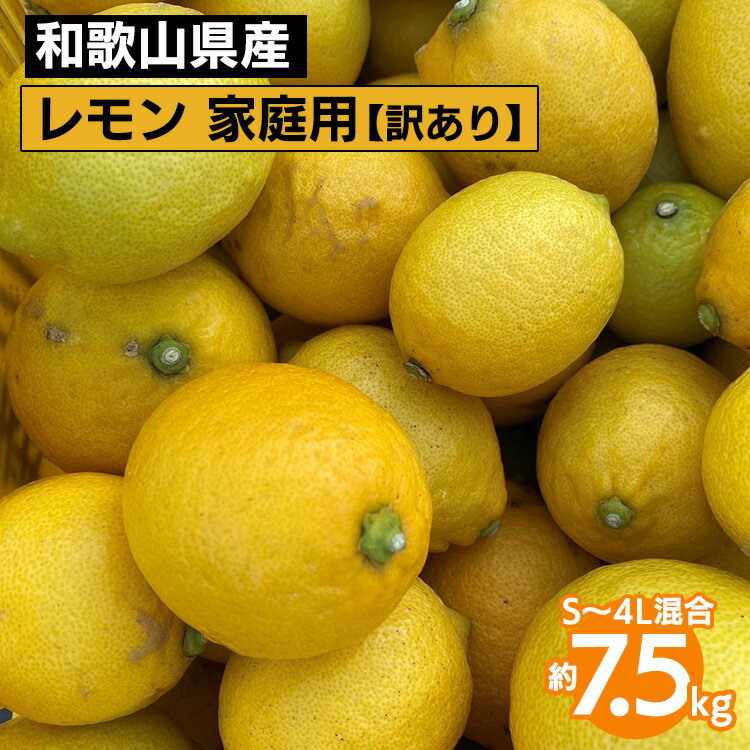 【ふるさと納税】【先行予約】【訳あり・ご家庭用】和歌山県産 レモン 約7.5kg S～4Lサイズ混合 柑橘