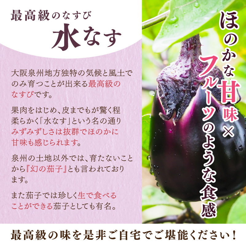 泉南銘産 水なす糠漬け 水なす太郎 5個【042D-013】