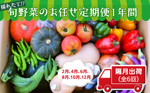 【数量限定】旬野菜のお任せ定期便１年間（隔月出荷　２月４月６月８月１０月１２月） [AH04-NT]