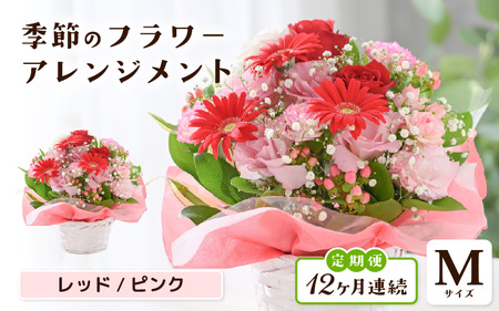 定期便 ≪12ヶ月連続お届け≫ 季節のフラワーアレンジメント M (レッド・ピンク) 花束 生花 プレゼント [L-20703_01]