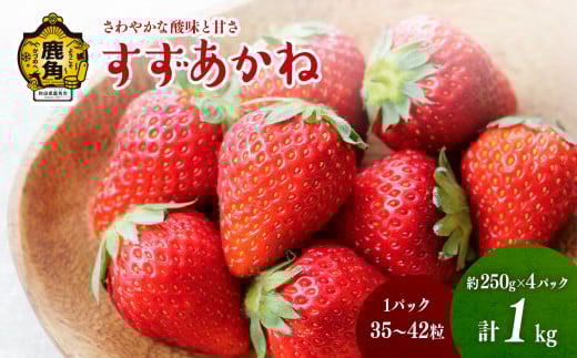 《 先行予約 》鹿角産いちご「すずあかね」約250g×4パック（1パック:35～42粒入り）【神田農園】●2025年7月上旬発送開始 県産いちご 国産いちご いちご 苺 イチゴ 新鮮 旬 採れたて 贈り物 手作り ケーキ 誕生日 バースデー グルメ デザート 故郷 秋田 あきた 鹿角市 鹿角 農家直送 産地直送
