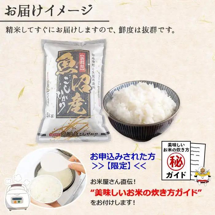 【令和7年】 新潟県 南魚沼産 コシヒカリ お米 5kg×2袋 計10kg 精米済み（お米の美味しい炊き方ガイド付き）
