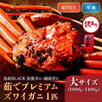 ふるさと納税 京丹後市 【訳あり】魚屋から茹でたて プレミアムズワイガニ 魚政BLACK大サイズ 1匹(11月〜12月発送)