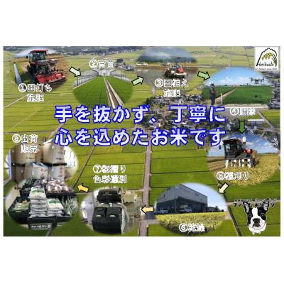 ふるさと納税 阿賀野市 【令和7年産新米】生活応援米「ファームホリコシ」 こしいぶき 5kg (5kg×1袋) |  | 01